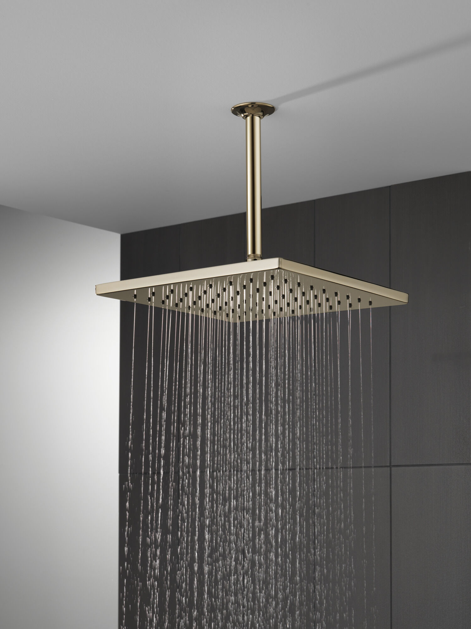 52159-PN Металлическая душевая лейка Raincan с одинарной настройкой Delta Faucet Universal Showering Полированный никель  - Вид №1