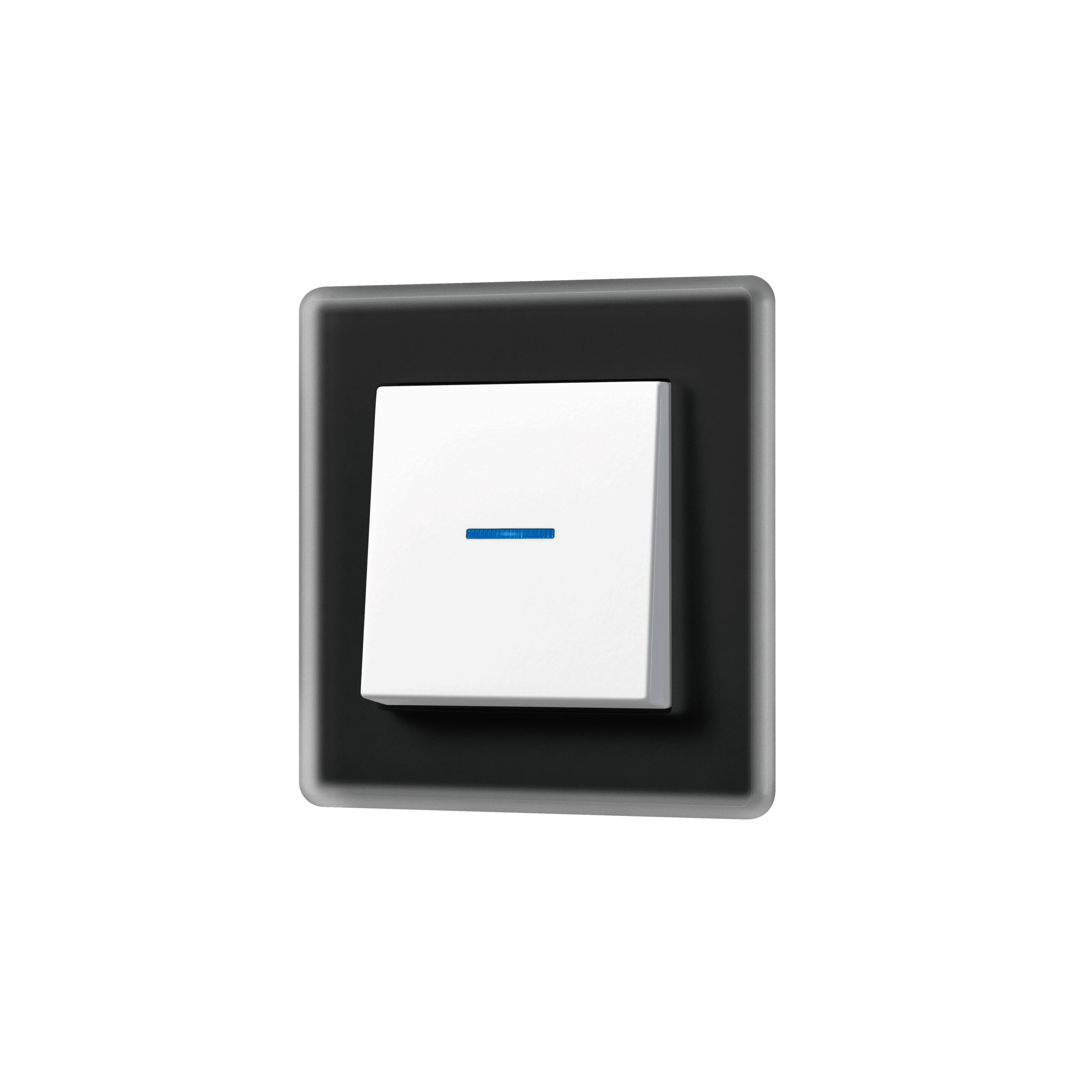 Матовый стеклянный выключатель JUNG A VIVA ARCH-00133562 - Вид №14