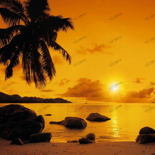 8-316-Sunset Фотообои Komar Vol.15 2.54х3.68 м 8316SUNSET