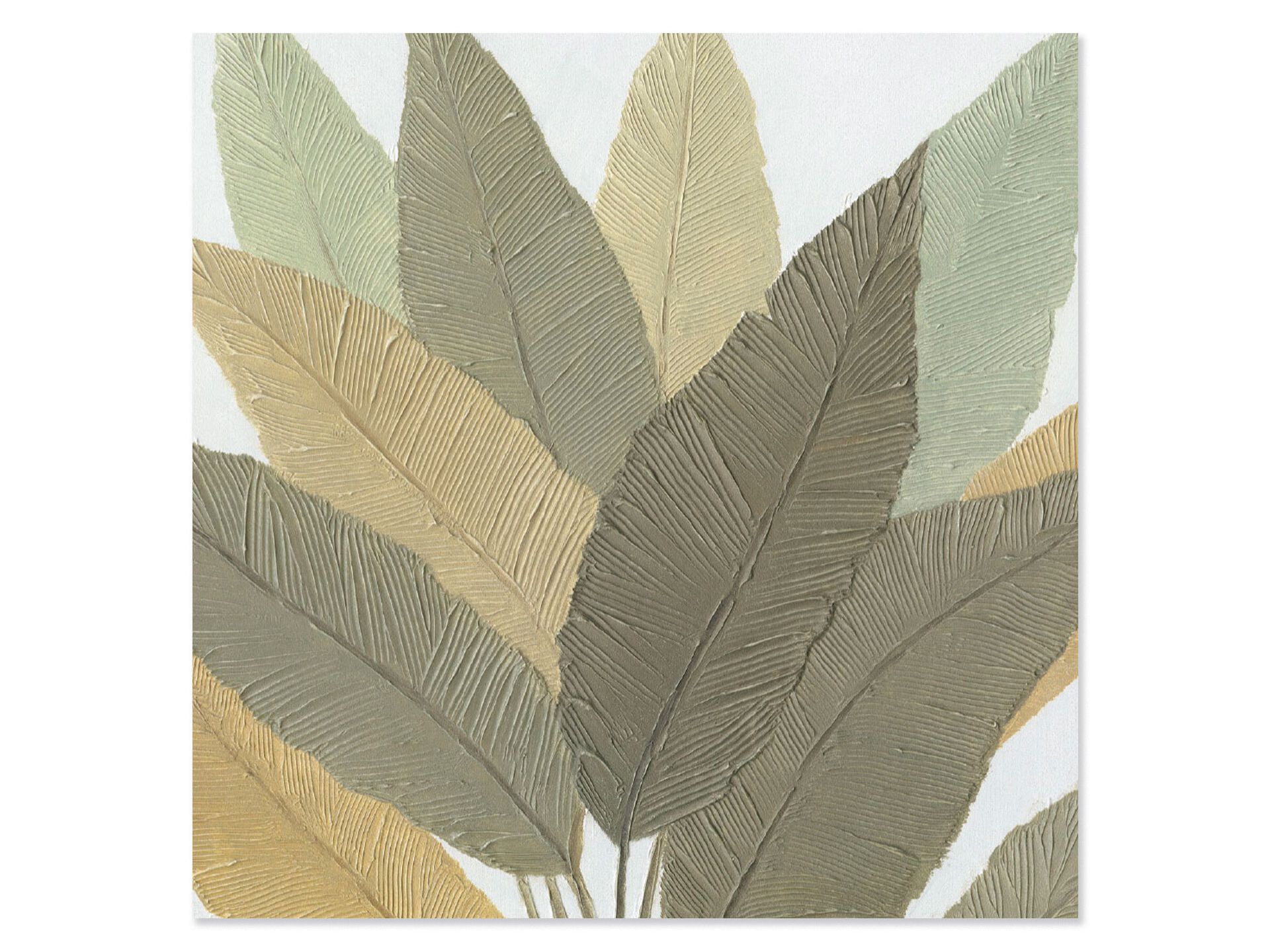 Холст рамки Agave CALATHEA ARCH-00027720