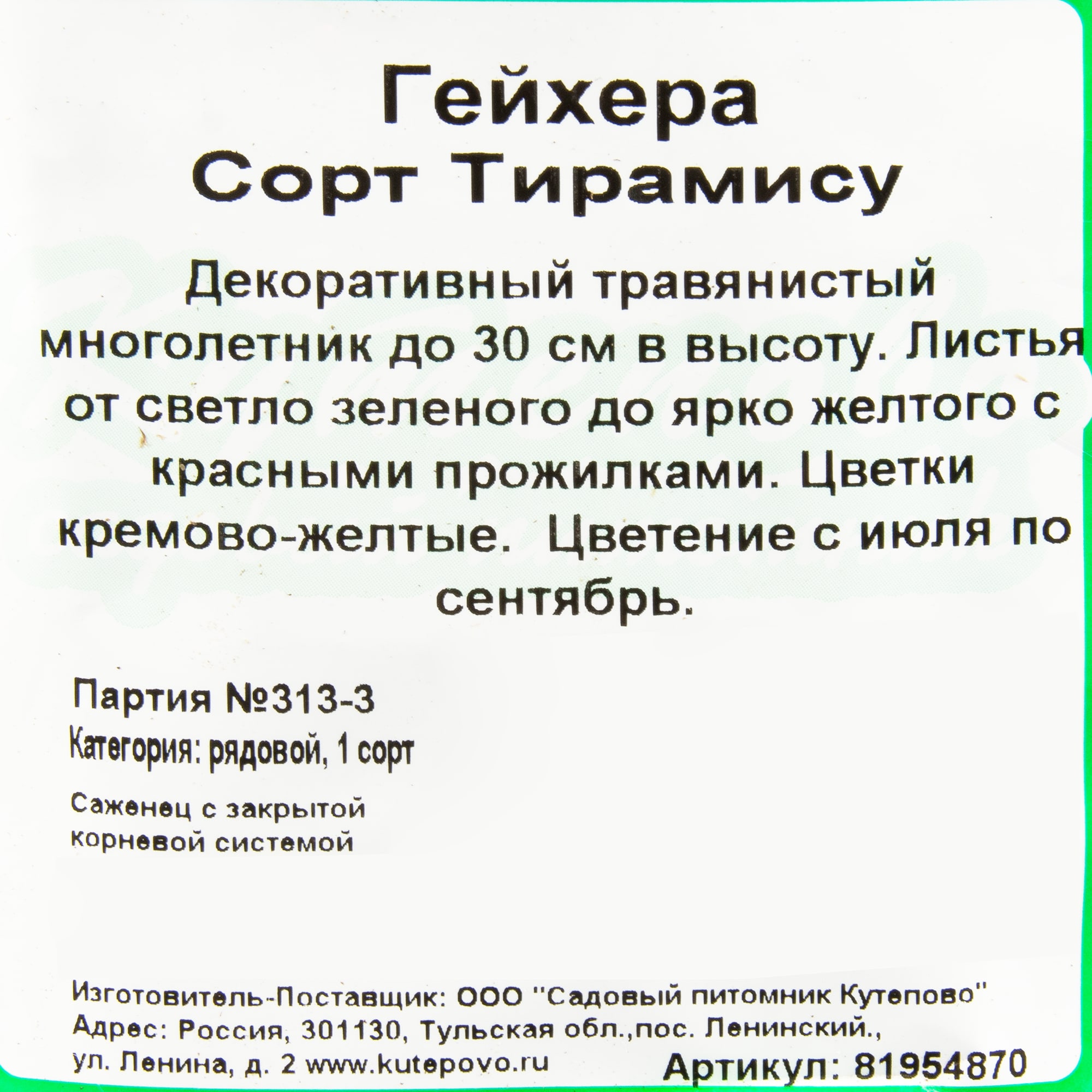 81954870 Гейхера гибридная С1 «Тирамису» h15 Santreyd  - Вид №1