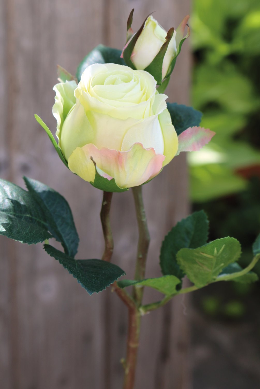 3295 788 a3 Шелковая роза, 1 цветок, 1 бутон, 45 см, бежево-зеленая H-andreas  - Вид №1