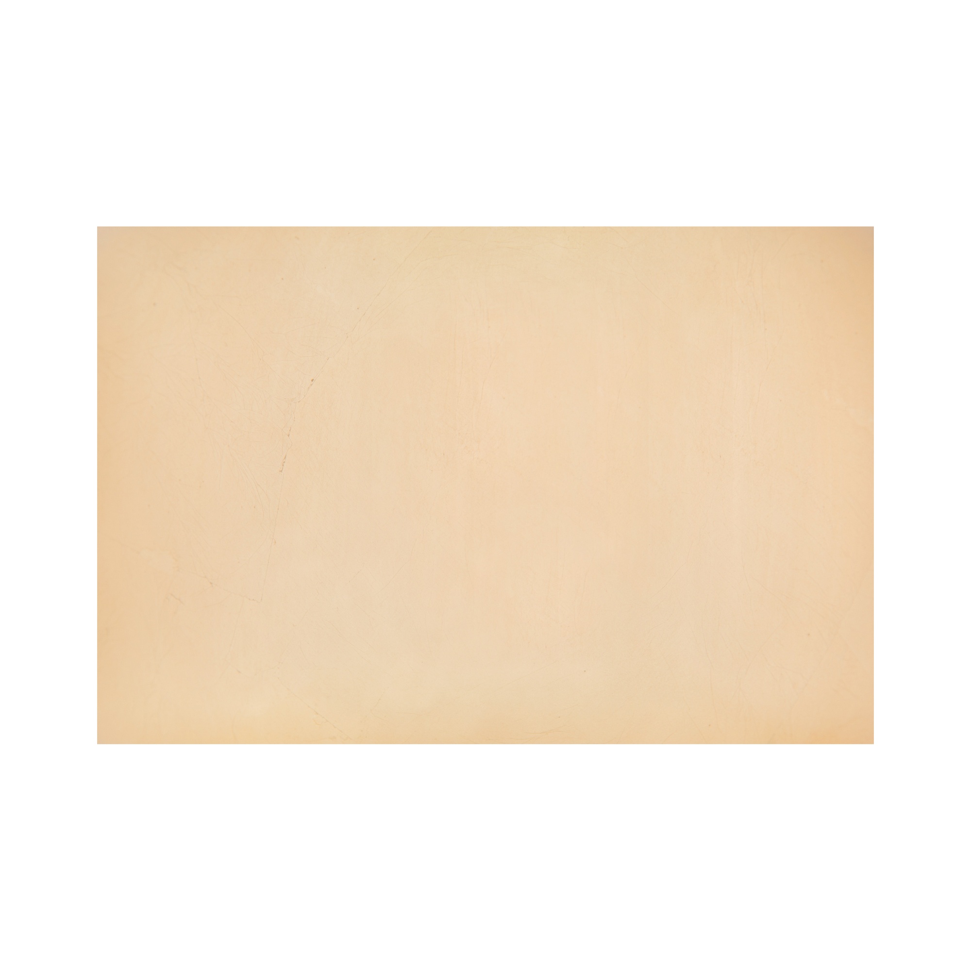 Арт-объект / Indoor Plated Large Bullstein sun-id-373070 - Вид №3