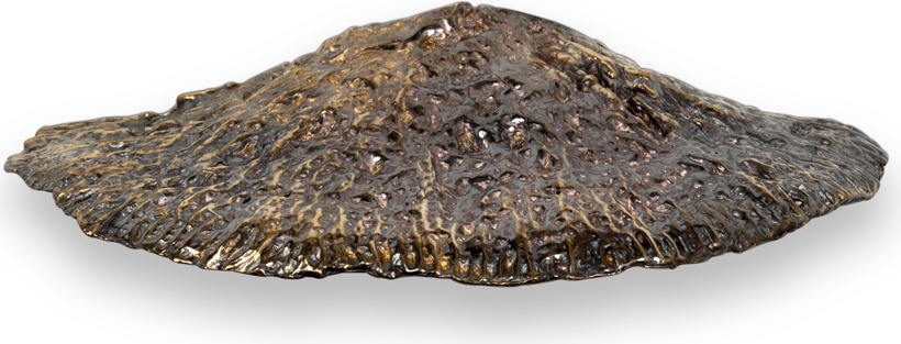 EA1035 Fungi PULLCAST Earth Collection  - Вид №1