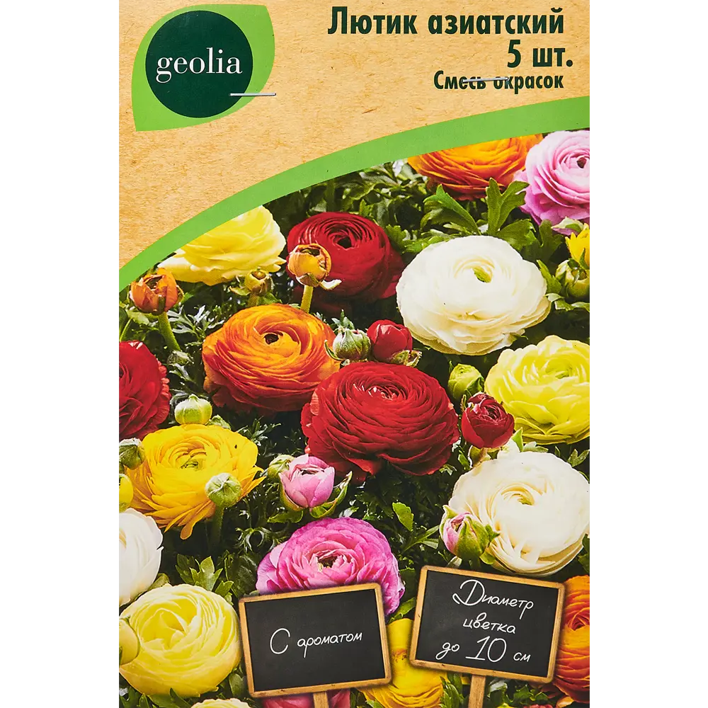 Лютик азиатский смесь окрасок 5 шт 86408666 STLM-2104630 Santreyd 