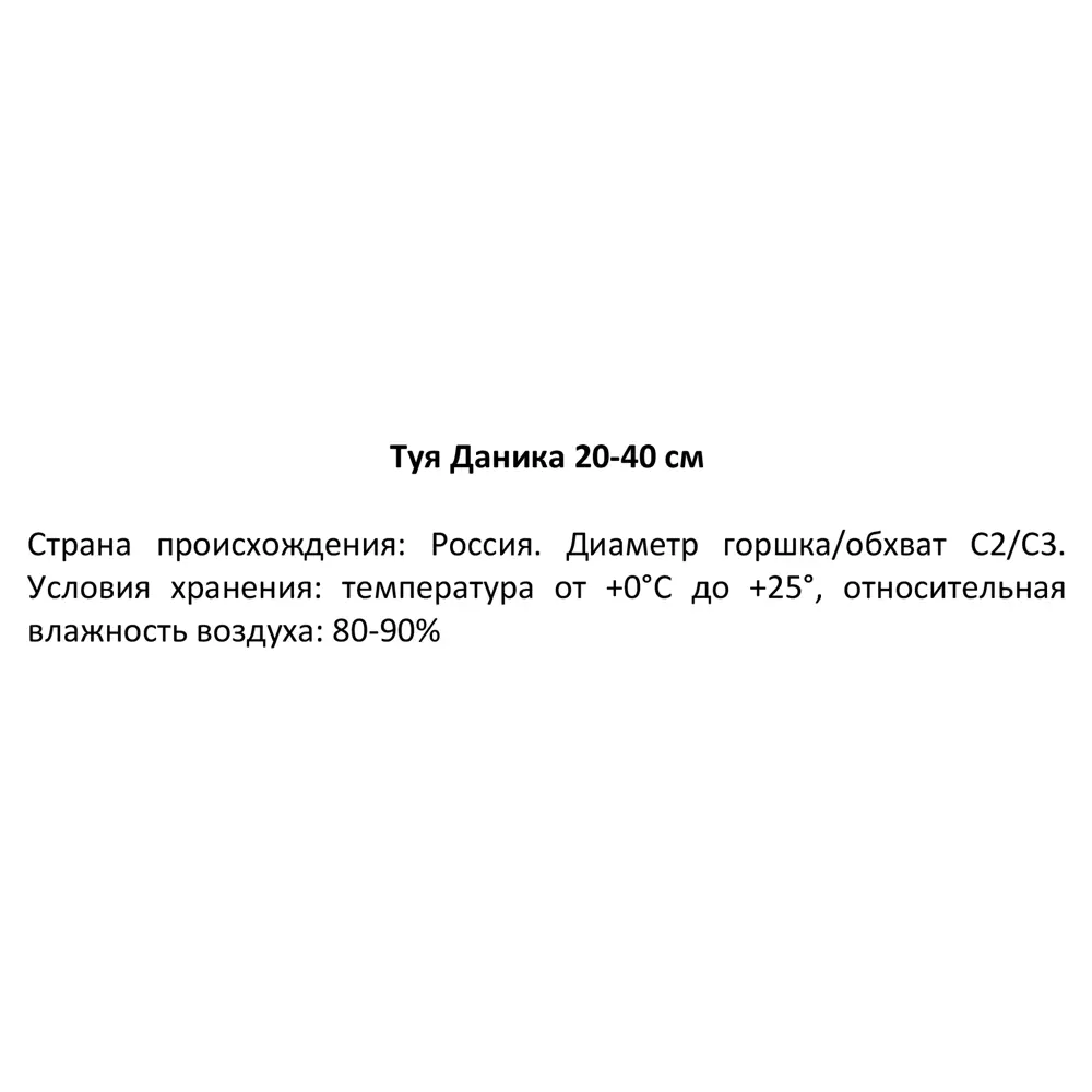 Туя Даника h20-40 см 85320127 STLM-2037380 Santreyd  - Вид №4