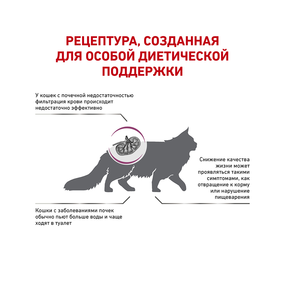 ПР0053531 Корм для кошек Vet Diet Renal Special RSF 26 при хронической почечной недостаточности сух. 2кг ROYAL CANIN  - Вид №2