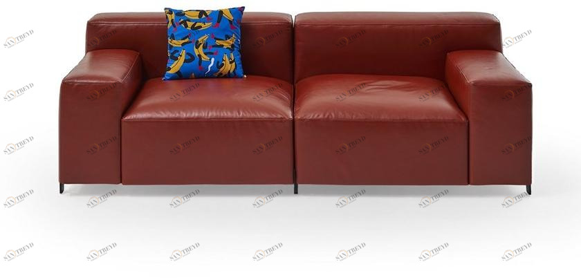 Sancal 2-х местный кожаный диван Mousse sun-id-1458871