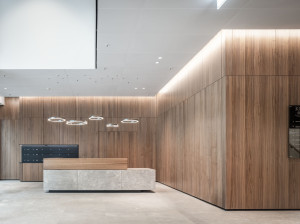 Перегородка с деревянными панелями