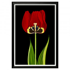 896518677_1818 Арт-постер "Символ благородства / Ночь" Object Desire