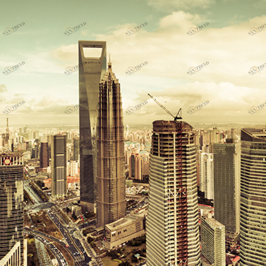 B1-019 Фотообои DIVINO Collection B 1.47х3 м B1019