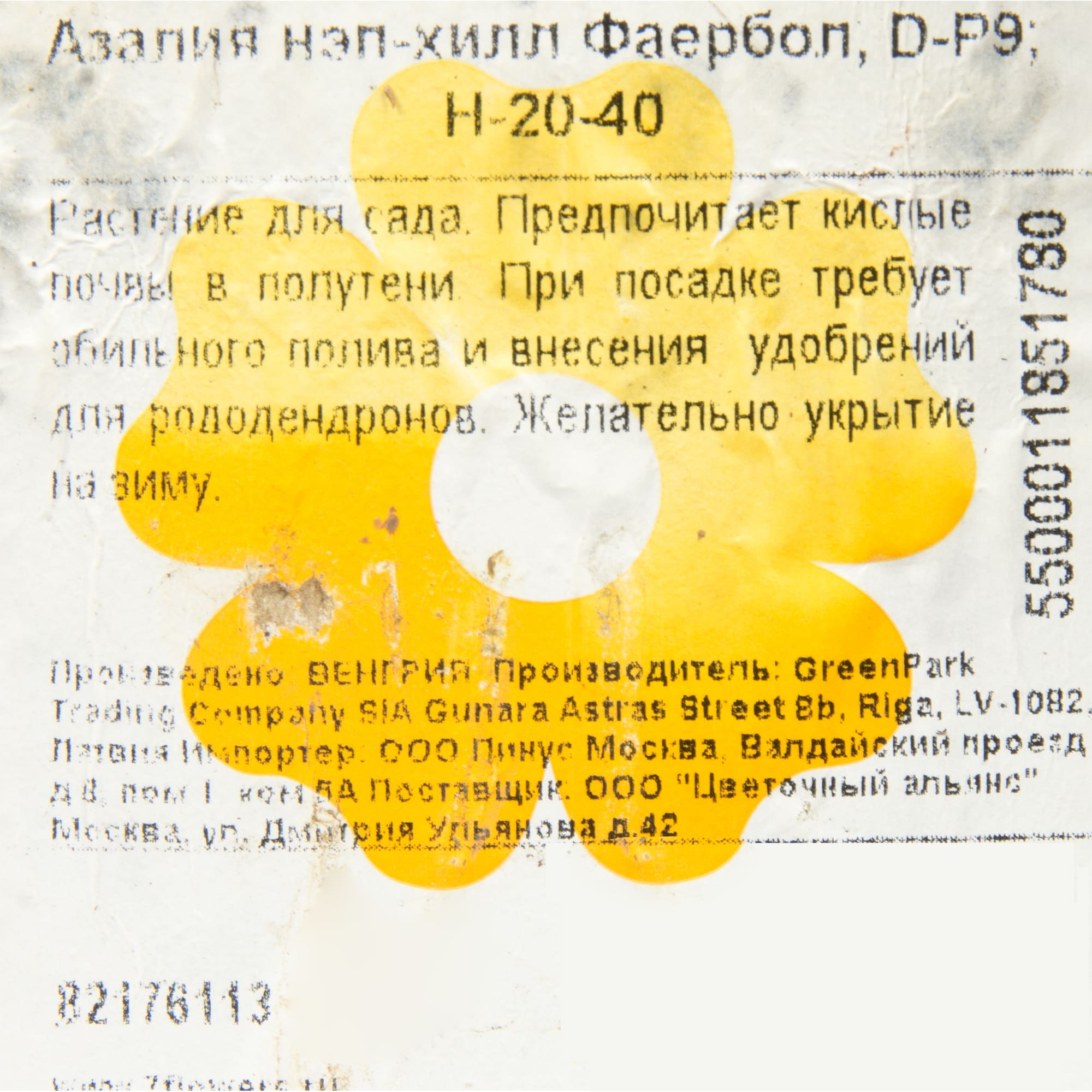 82176112 Азалия нэп-хилл «Нарциссифлора» P9 Santreyd  - Вид №2