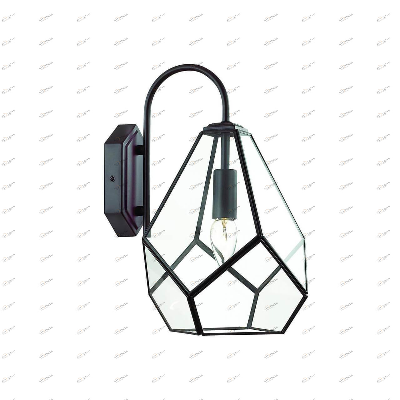 Бра настенное черное Favourite Eislager 1915-1W FAVOURITE EISLAGER 00-3928692 Черный 