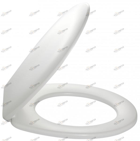 E4304-00 Крышка-сиденье из термодюра, с металлическими шарнирами Jacobdelafon ODEON Santreyd