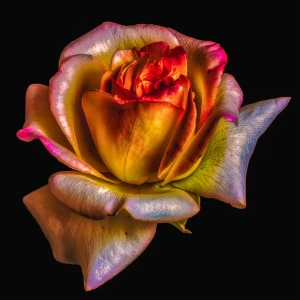 Картина на стекле Цветочная фантазия 1 30x30 см