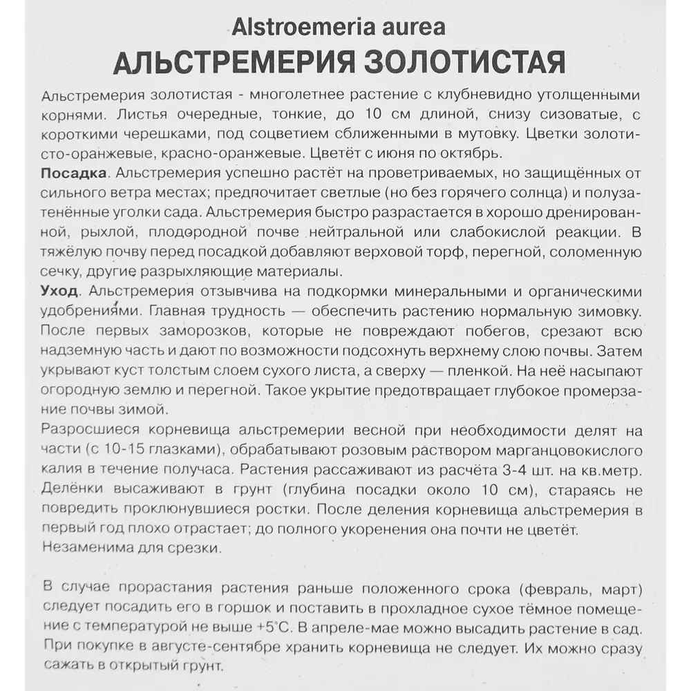 Альстремерия Лютея 86410117 STLM-2153018 ПОИСК  - Вид №2
