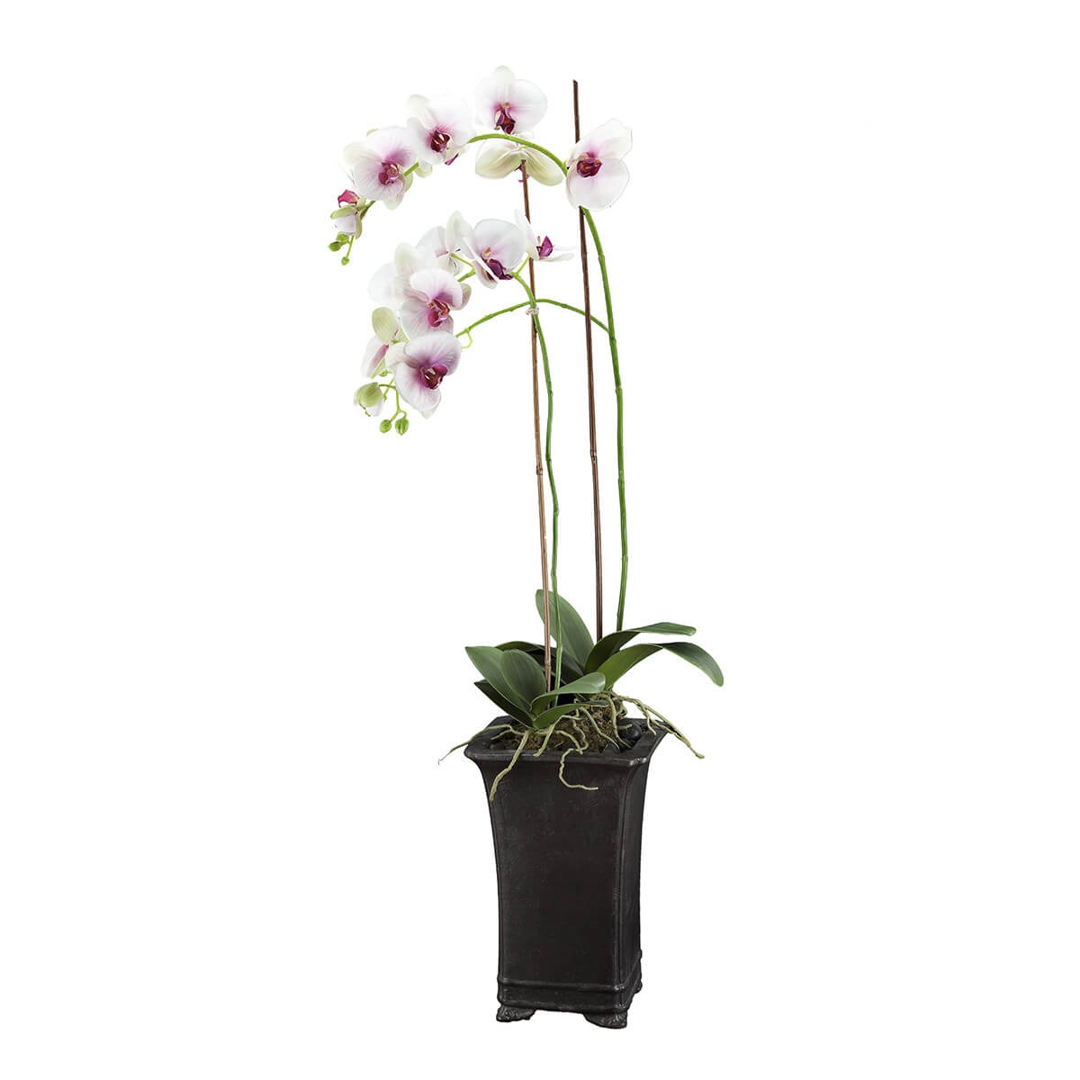 210261,15 ABHIKA DECO ORCHID PHALENO в горшке WHITE/PINK 210261.15