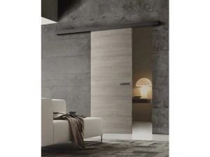 Бескаркасная деревянная раздвижная дверь