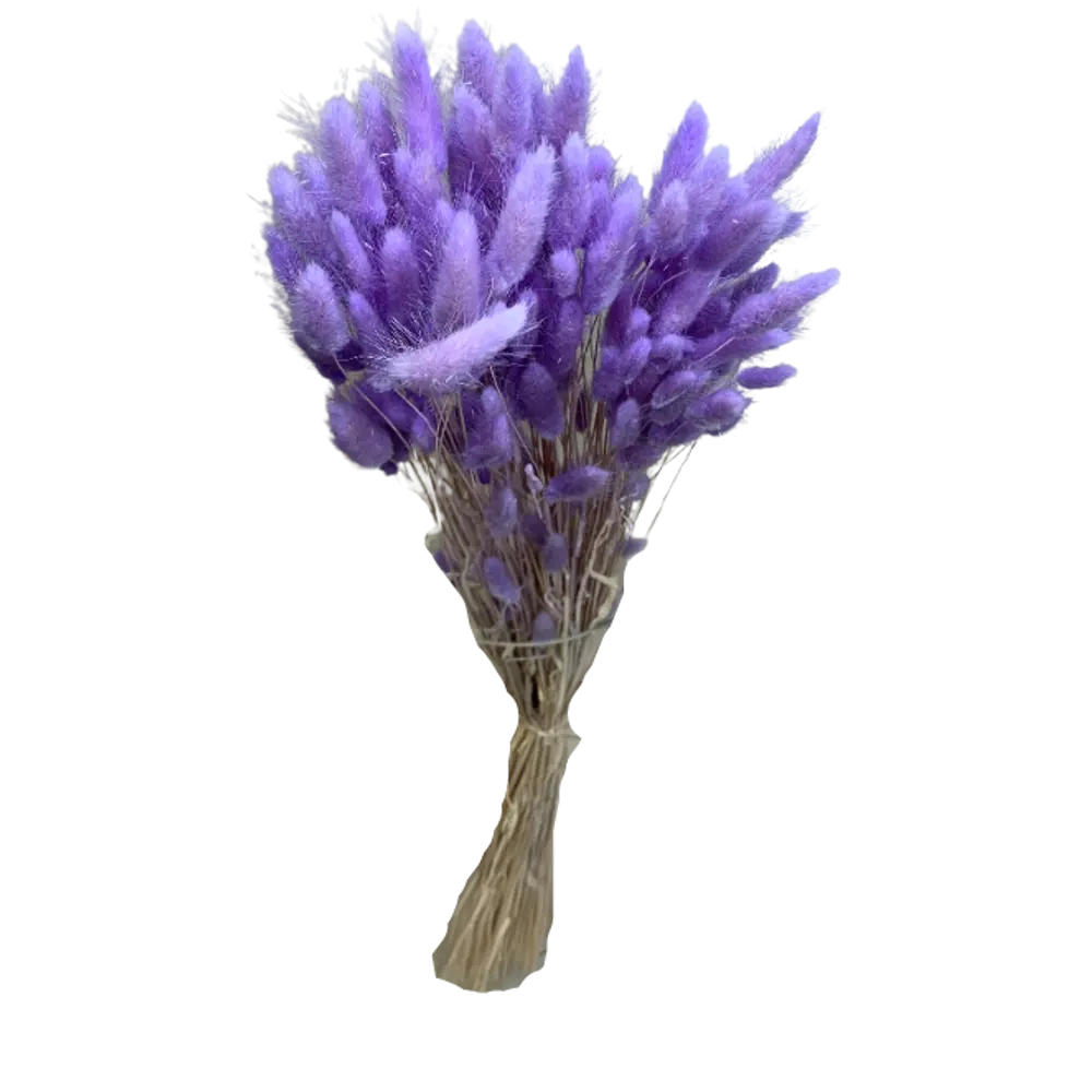 Букет из сухих цветов Лагурус микс 2 70 см Santreyd STLM-2185331 - Вид №7