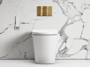 Напольный керамический туалет биде с налетом и кассетой