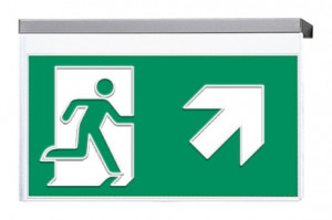 DST-2257 Vir-p Daisalux Светильники сигнальные Белый