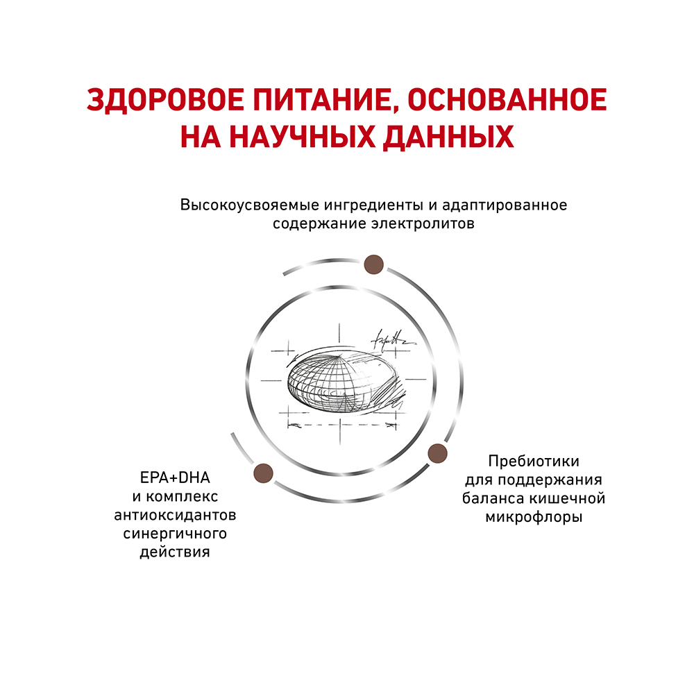 ПР0053519 Корм для собак Vet Diet Gastro Intestinal GI25 при нарушениях пищеварения сух. 15кг ROYAL CANIN  - Вид №3