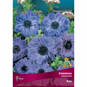 83593860 Анемона махровая Блу луковица 5/6