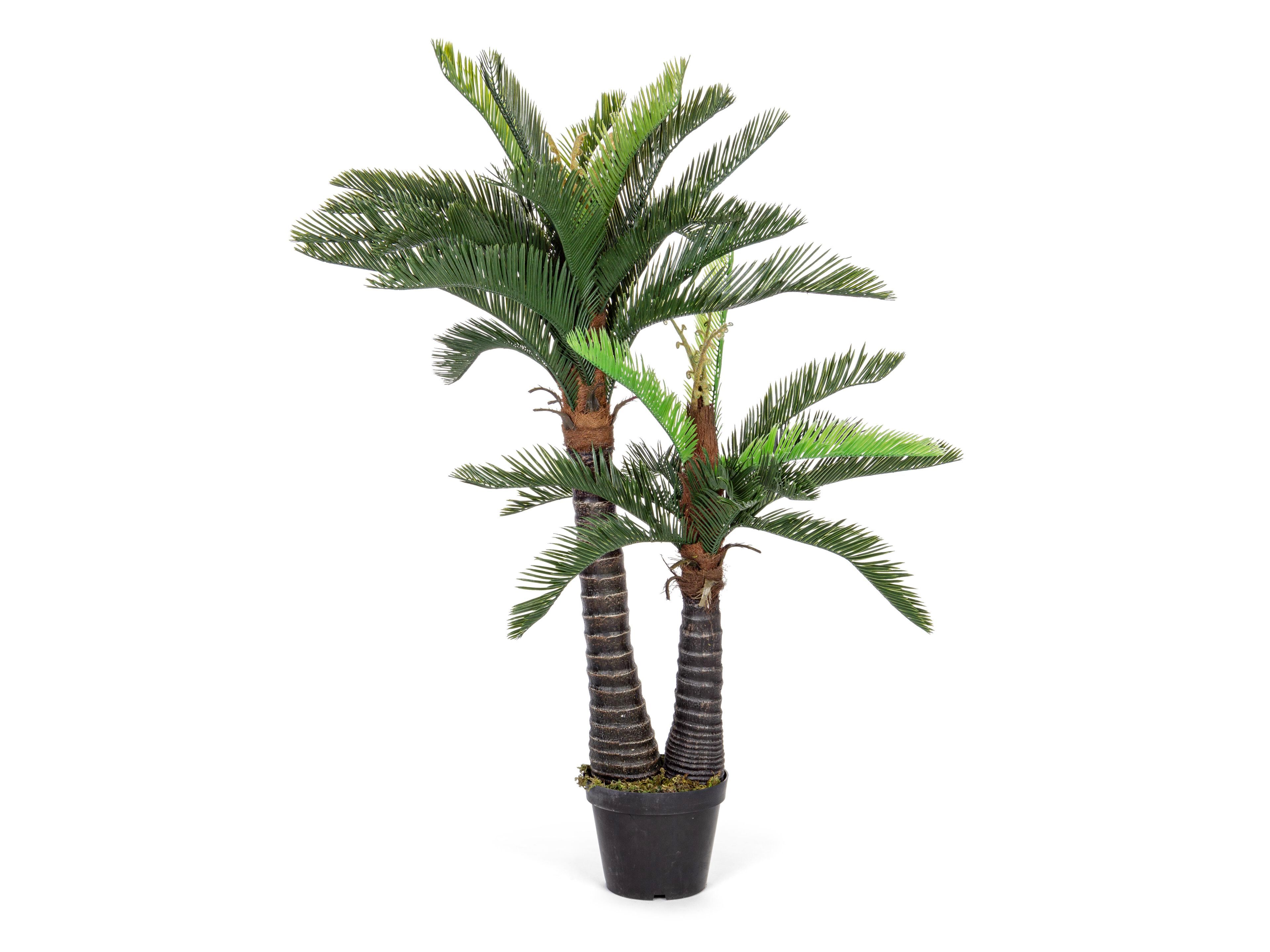 Искусственное растение BIZZOTTO PALMA ARCH-00116343