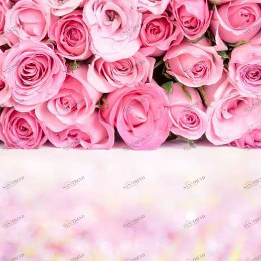 P-022 Фотообои DIVINO L&P 4х2.7 м P022