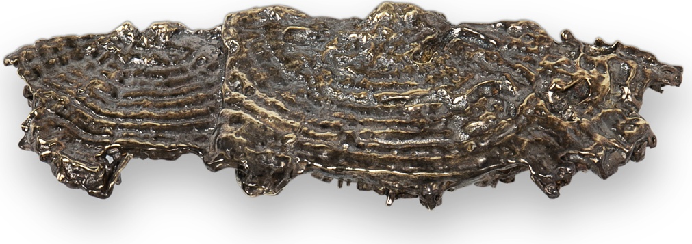 EA1033 Fungi PULLCAST Earth Collection 