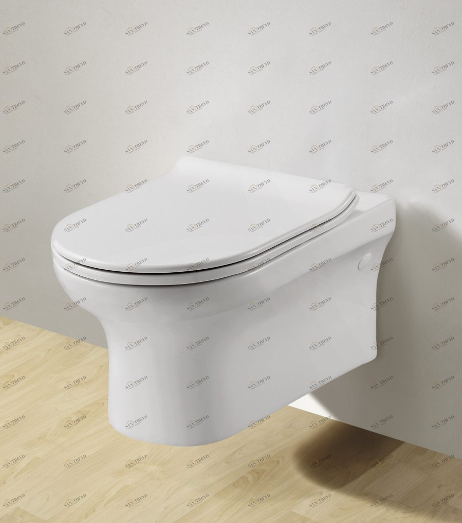 Унитаз подвесной BelBagno VELLA-R безободковый Подвесной унитаз настенный Белый BELBAGNO  Китай 