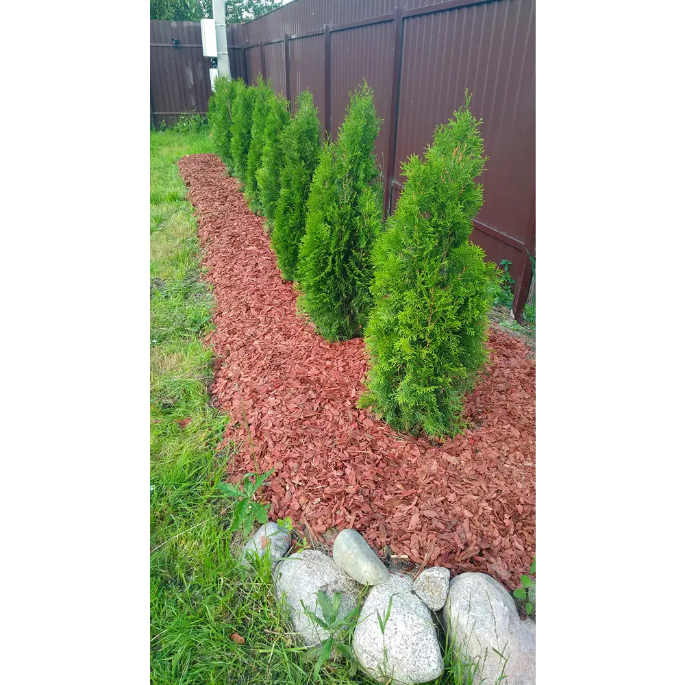 Santreyd Кора ангарской сосны для мульчирования 60 л 87487632 STLM-0965694 - Вид №5