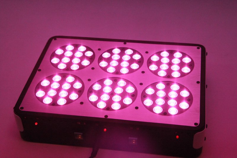 1302 Фитолампа Apollo 6 LED 270W LAB.Space  - Вид №16