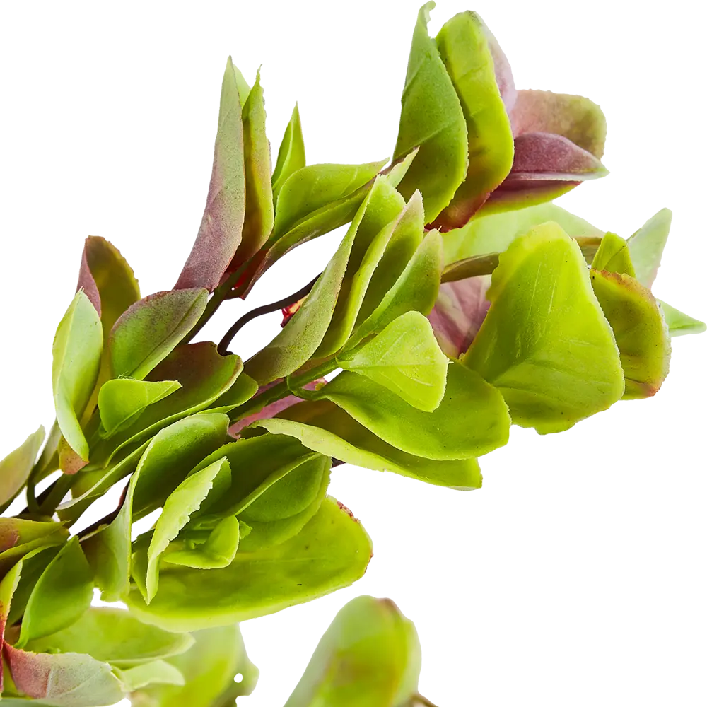 88455008 Искусственное растение Букет Кротон 33x18 см пластик цвет зеленый STLM-0829470 Santreyd  - Вид №2