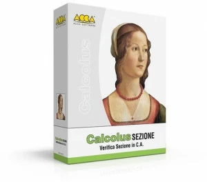 ACCA software Расчет сечения Calcolus