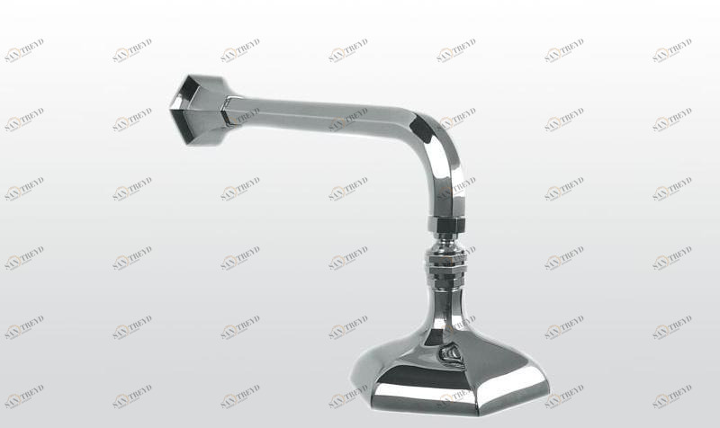 RUBINETTERIE STELLA Лейка дождевого душа с держателем Eccelsa 303ec318a