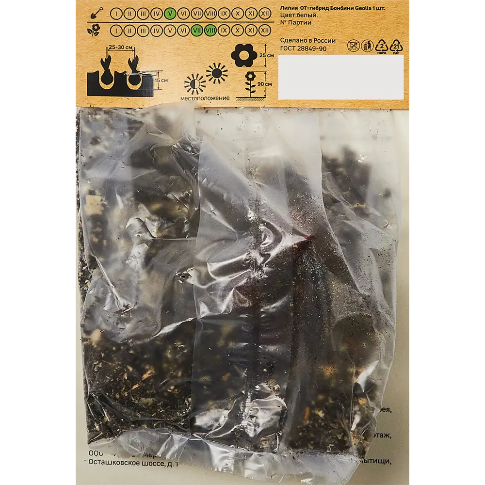 Лилия Geolia от-гибрид Бонбини 86408650 STLM-2016563  - Вид №1
