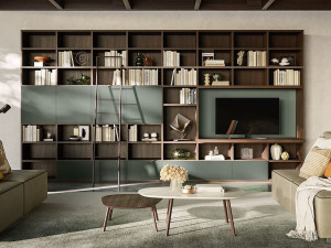 Оборудованная стена / книжный шкаф