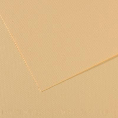 200321666 Бумага для пастели Mi-Teintes 160 г/м2 А4 21 х 29.7 см лист №407 кремовый Canson 