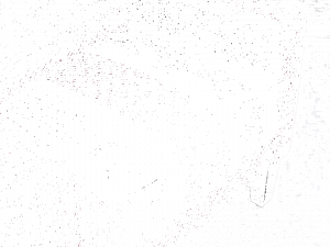 Equipo DRT Полосатая обивочная ткань из льна Kashmir