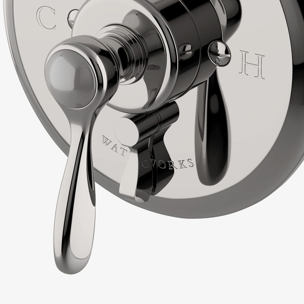 EAPB92 Балансир давления Easton Classic с отводной накладкой и металлической ручкой-рычагом Waterworks  - Вид №1