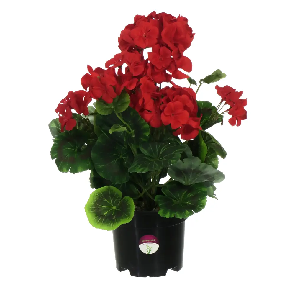 Искусственное растение Герань ø13 h37 см Santreyd STLM-2034823 - Вид №1