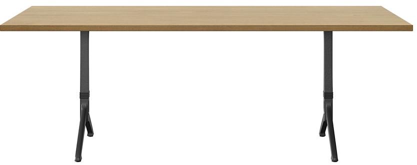 horgenglarus Прямоугольный обеденный стол из массива дерева  T-1005  - Вид №1