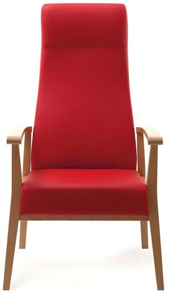 PIAVAL Кожаное кресло с высокой спинкой Aero | health & care 52-63/3 - Вид №1