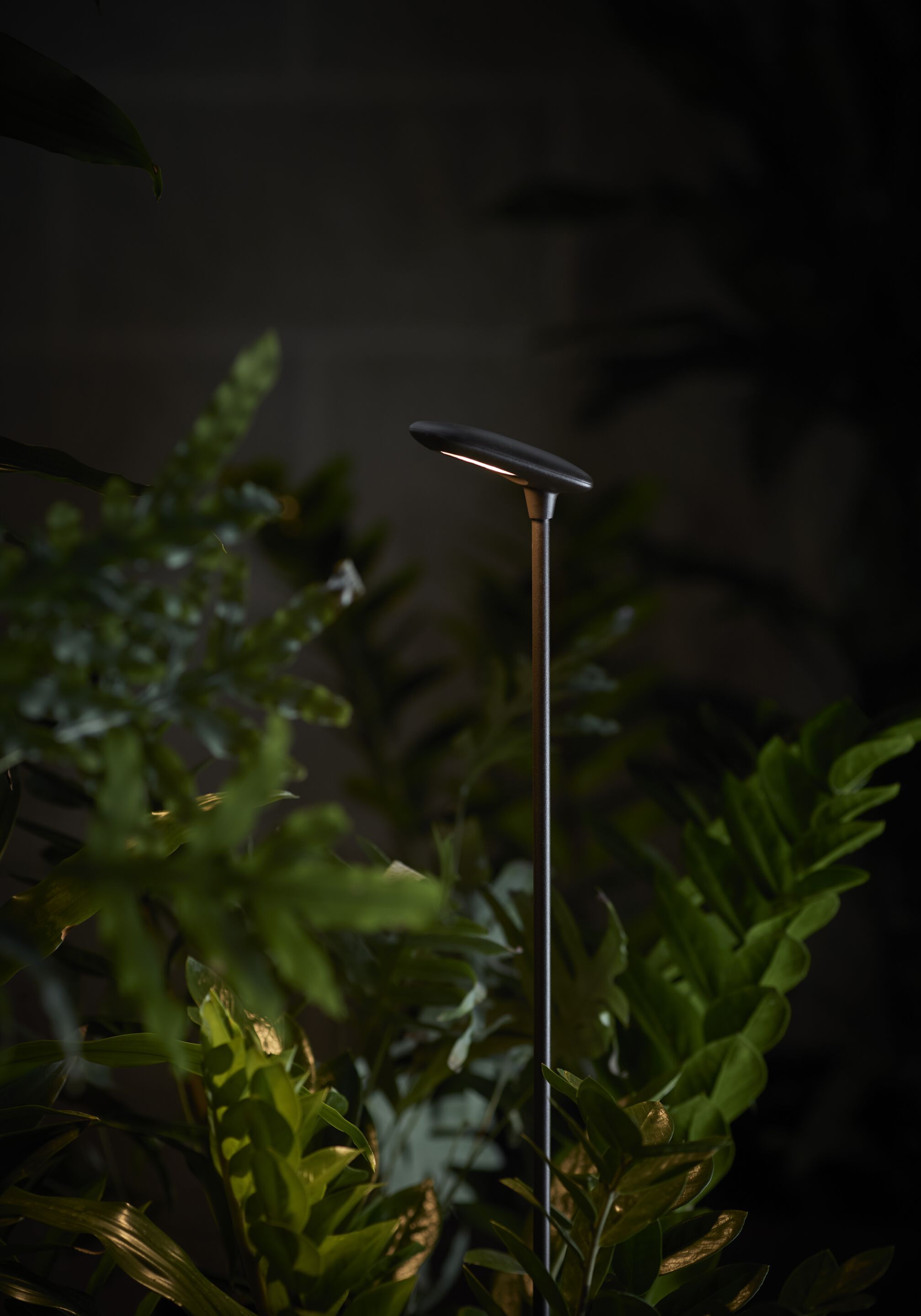 Светодиодный световой столб Bover птичка ARCH-00083764 - Вид №3