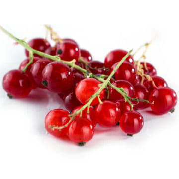 Красная смородина Santreyd 2087 - Вид №1