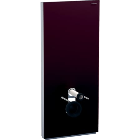131.231.SJ.5 Сантехнический модуль Geberit Monolith Plus для подвесного унитаза, 114 см, передняя обшивка из стекла Geberit  - Вид №6