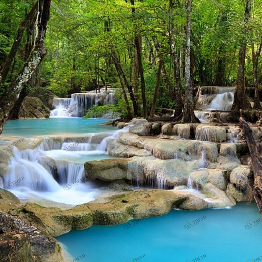 C1-016 Фотообои DIVINO Collection C 2.7х3 м C1016