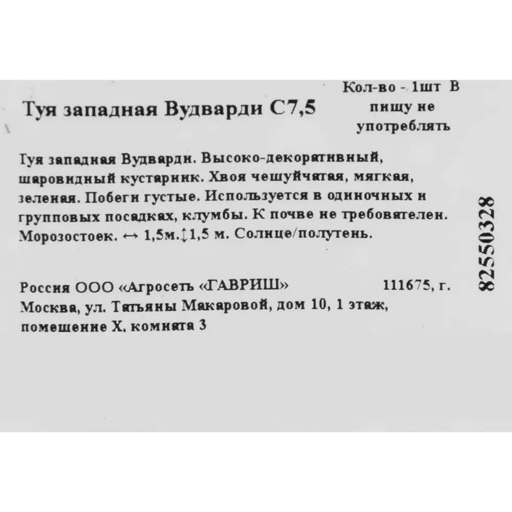 Туя западная «Вудварди» 22x40 см ГАВРИШ STLM-2154455 - Вид №1