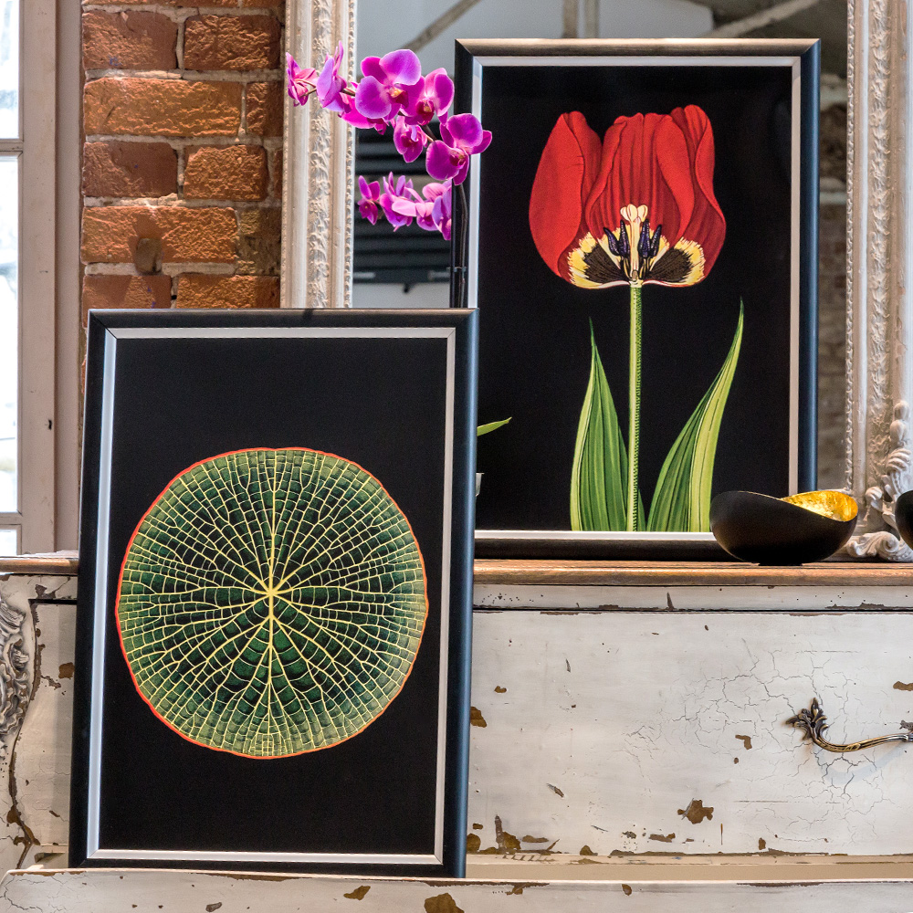 896518675_1818 Арт-постер "Амазонская Виктория" Object Desire  - Вид №1